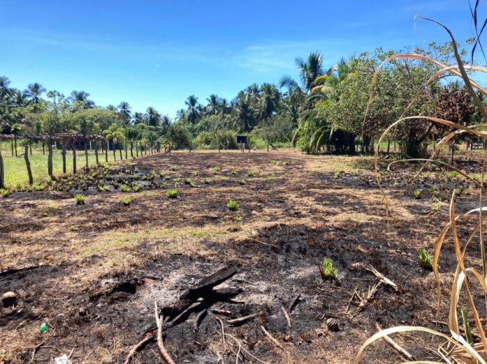 Attractive lot only steps from the beach