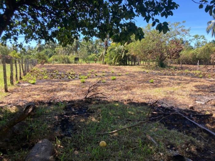 Attractive lot only steps from the beach