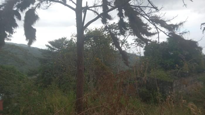 Se vende lote en vía principal a cerro azul/lot for sale on main road to cerro azul