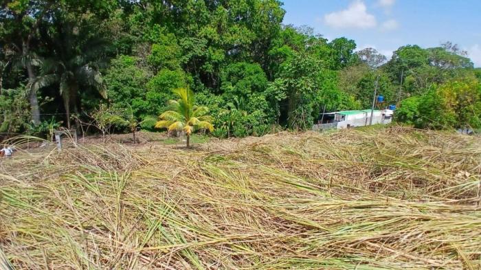 Venta de lote de terreno en chilibre.