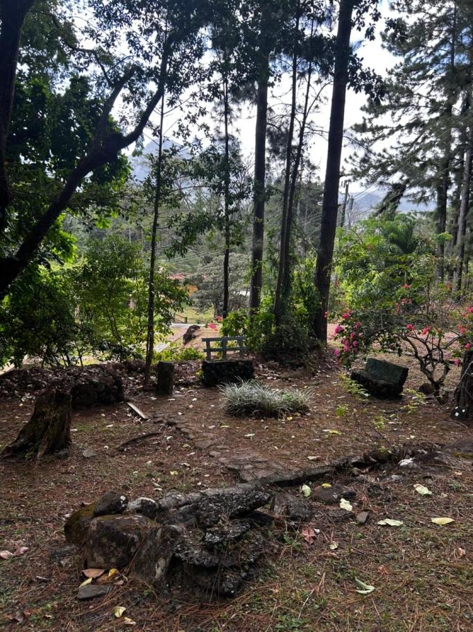 Se vende terreno con casa en altos de maria