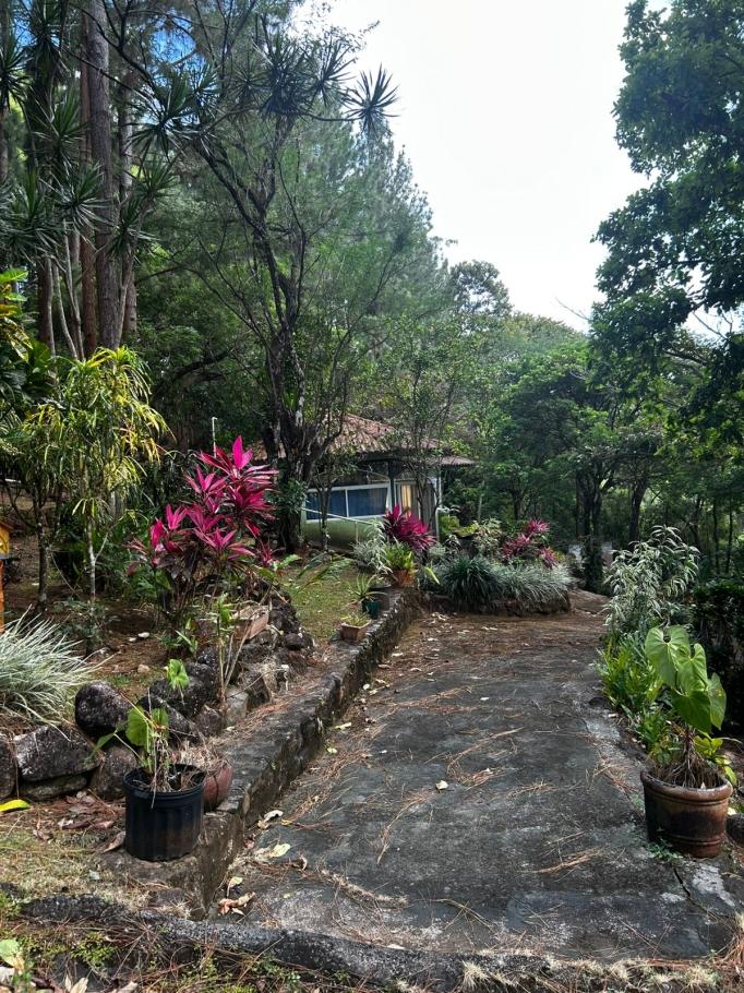 Se vende terreno con casa en altos de maria