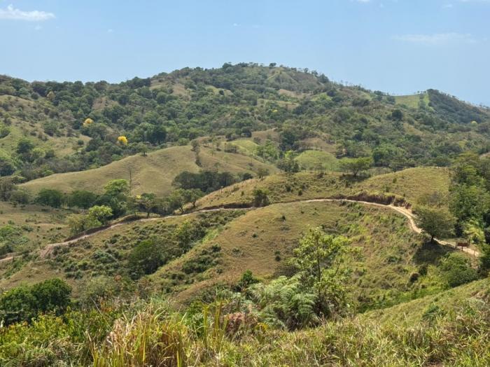 37 hectáreas con vista al mar y montañas, filipinas, quebro, veraguas