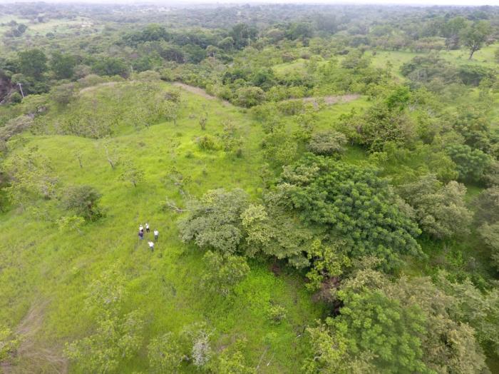 Venta de terreno de playa en el higo de san carlos