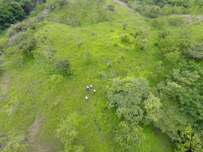 Venta de terreno de playa en el higo de san carlos