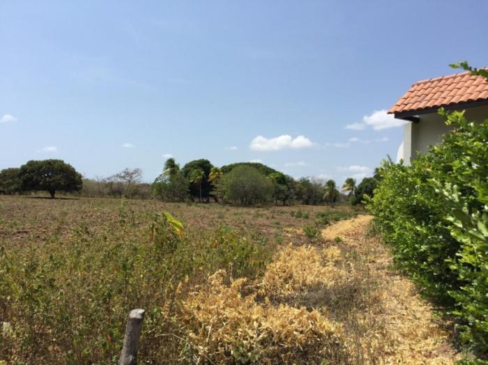 Terreno en venta en rio hato