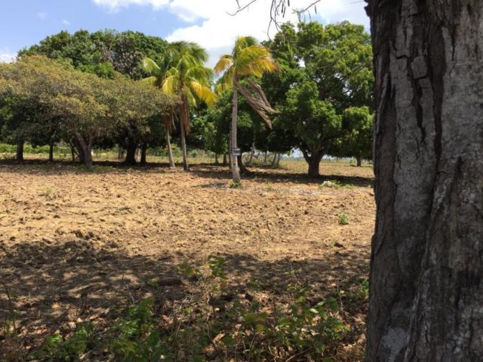 Terreno en venta en rio hato