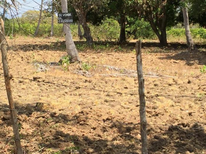 Terreno en venta en rio hato