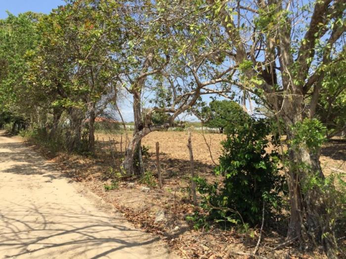 Terreno en venta en rio hato