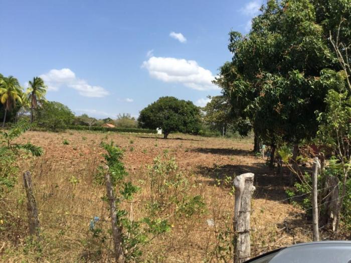 Terreno en venta en rio hato