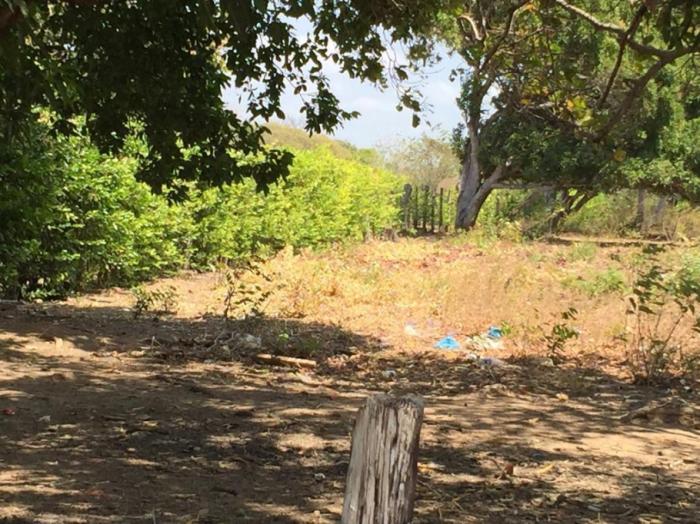 Terreno en venta en rio hato