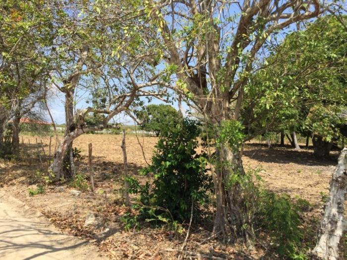 Terreno en venta en rio hato