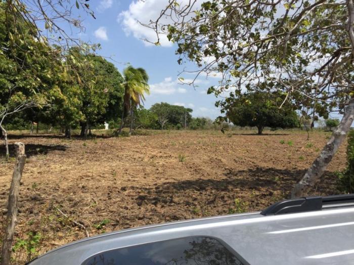 Terreno en venta en rio hato