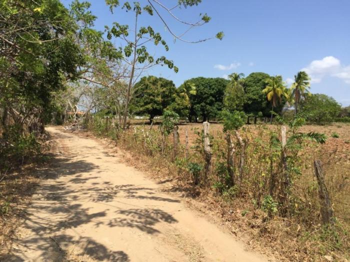 Terreno en venta en rio hato