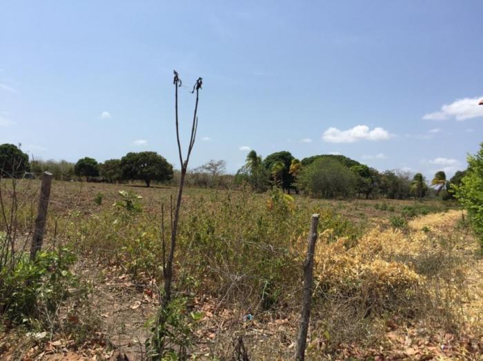 Terreno en venta en rio hato