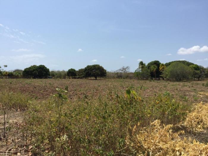Terreno en venta en rio hato