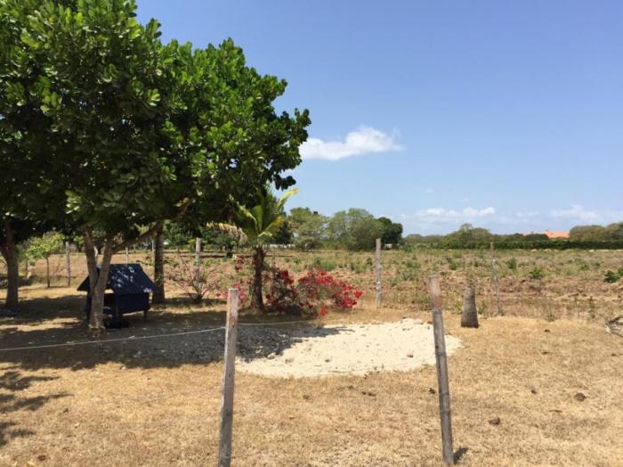 Terreno en venta en rio hato