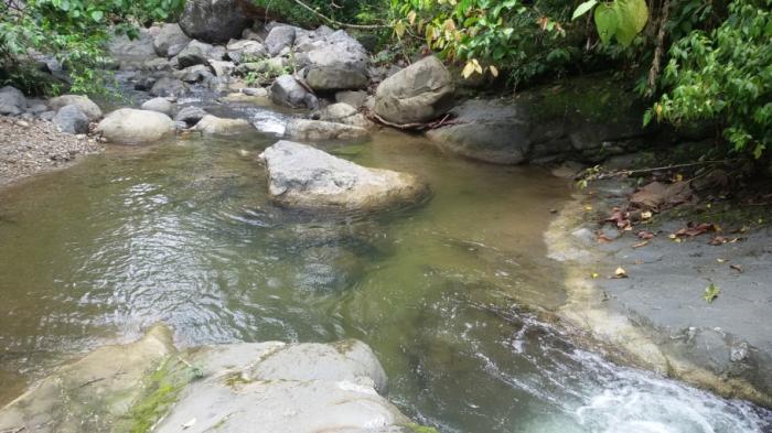 Se vende finca en el sector de las delicias arriba, changuinola