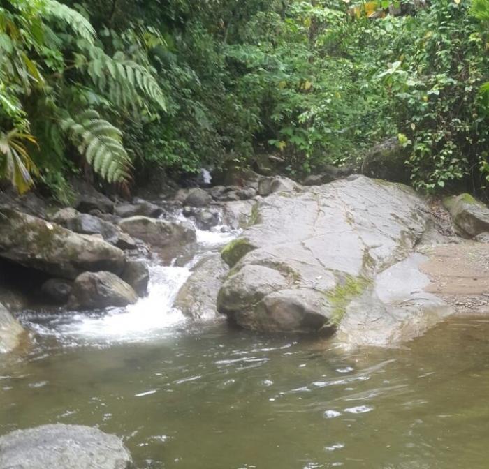Se vende finca en el sector de las delicias arriba, changuinola