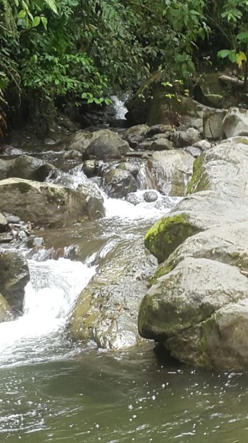 Se vende finca en el sector de las delicias arriba, changuinola
