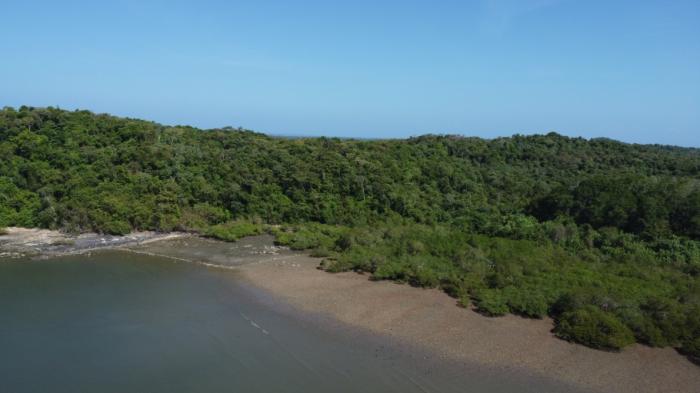 Venta de terreno ubicado en playa honda, isla del rey, san miguel, panamá