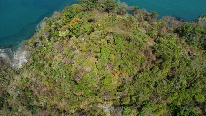 Venta de terreno ubicado en martín perez, isla perico, archipiélago de las perlas