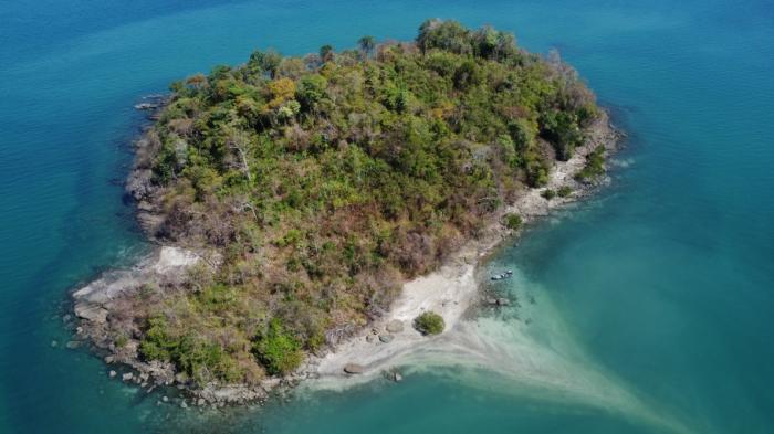 Venta de terreno ubicado en martín perez, isla perico, archipiélago de las perlas