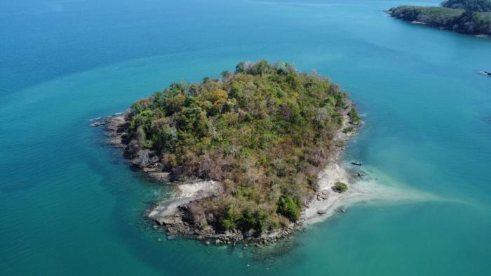 Venta de terreno ubicado en martín perez, isla perico, archipiélago de las perlas