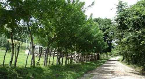 Granja de 72 Hect