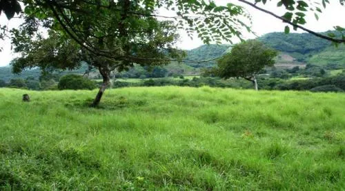 Granja de 72 Hect