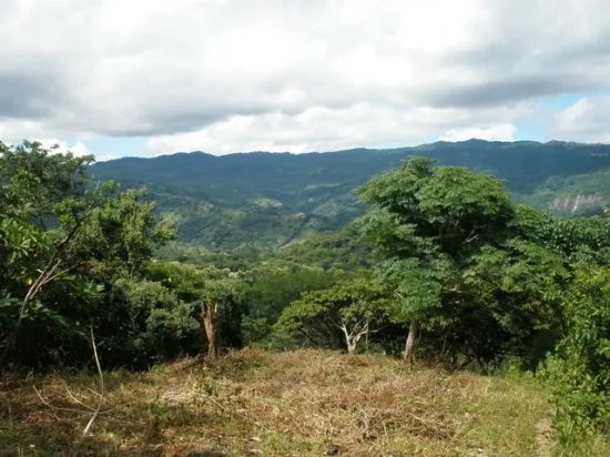 90 hectares with river and knoll - perfect for a top-notch gated community