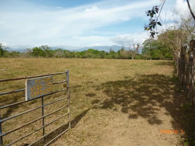 Small flat farm 15 minutes from David