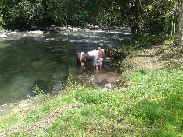Hermoso r
