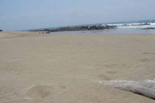 Frente de Playa en Pedasi con 42 hectareas ideal para Desarrollo