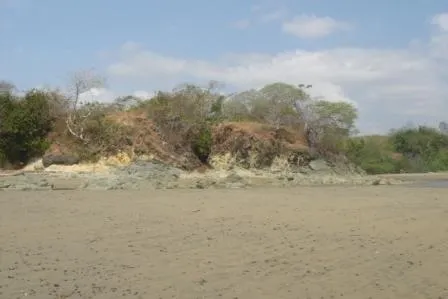 Frente de Playa en Pedasi con 42 hectareas ideal para Desarrollo