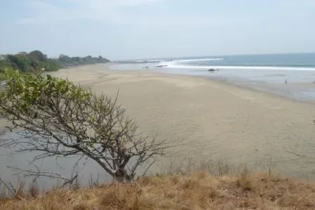 Frente de Playa en Pedasi con 42 hectareas ideal para Desarrollo