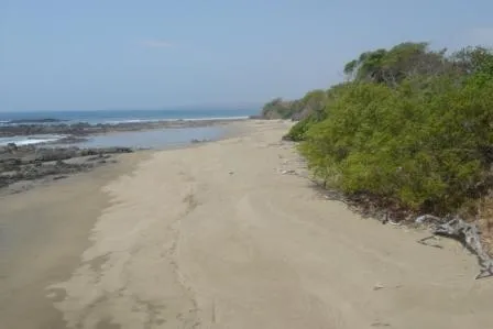 Frente de Playa en Pedasi con 42 hectareas ideal para Desarrollo