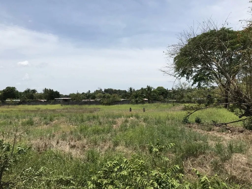 4.3 hectares on Interamerican Highway, opposite Plaza Terronal in David