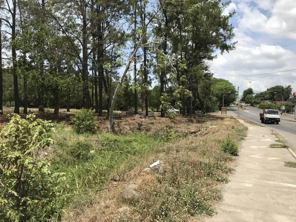 4.3 hectares on Interamerican Highway, opposite Plaza Terronal in David