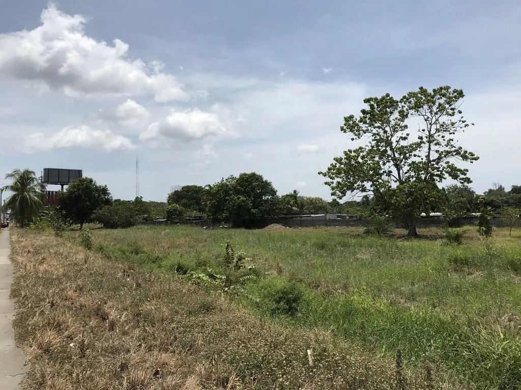 4.3 hectares on Interamerican Highway, opposite Plaza Terronal in David