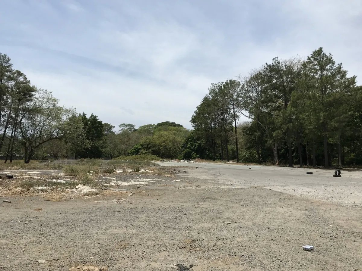 4.3 hectares on Interamerican Highway, opposite Plaza Terronal in David
