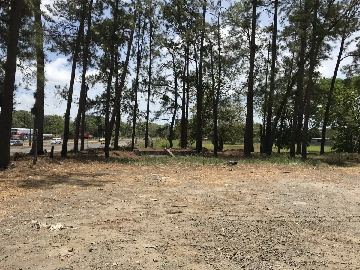 4.3 hectares on Interamerican Highway, opposite Plaza Terronal in David