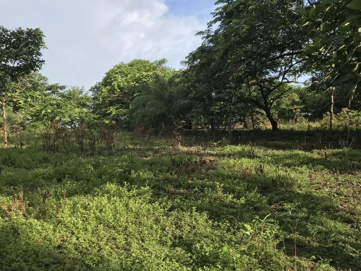 2-hectare lot in San Félix, Chiriqui