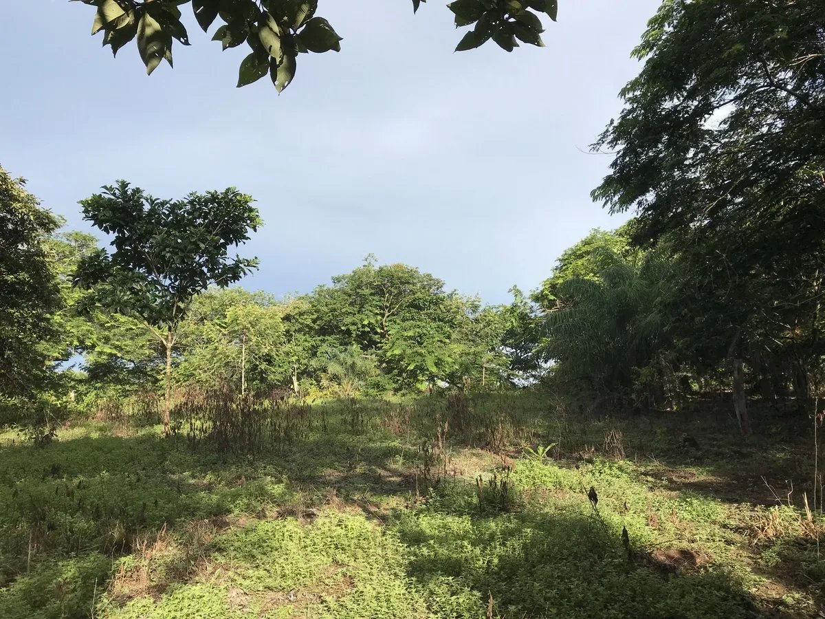 2-hectare lot in San Félix, Chiriqui