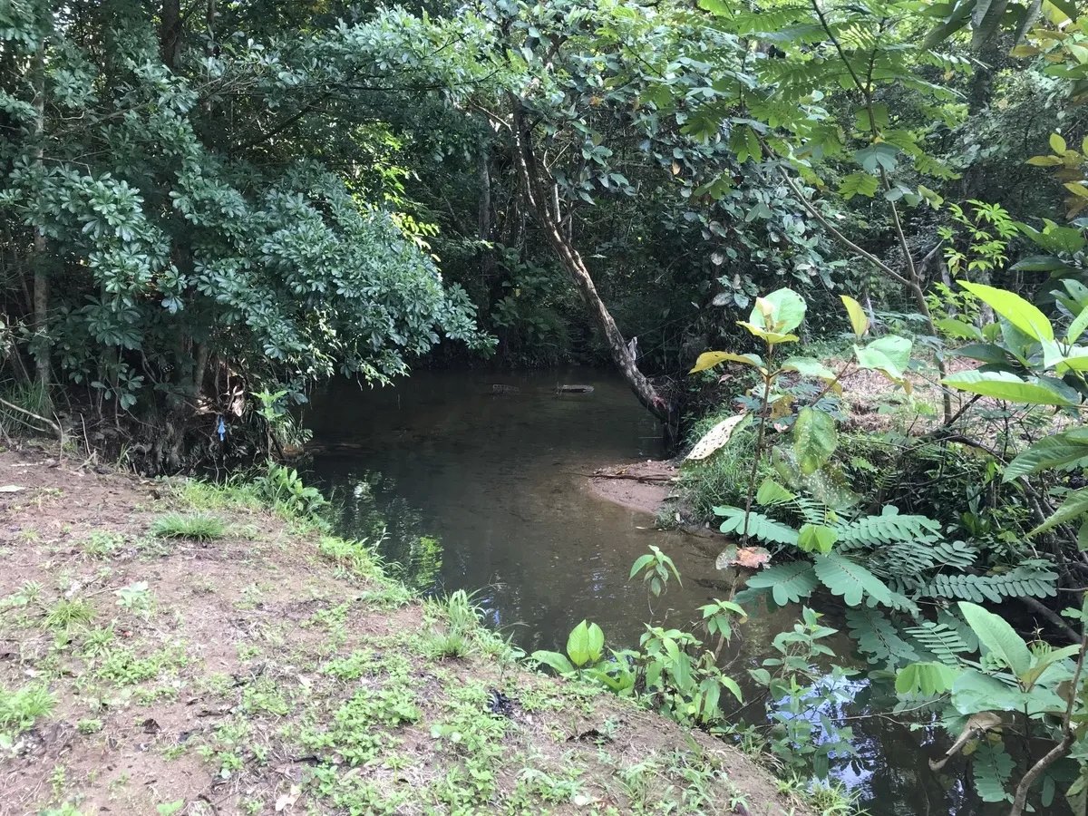 2-hectare lot in San Félix, Chiriqui