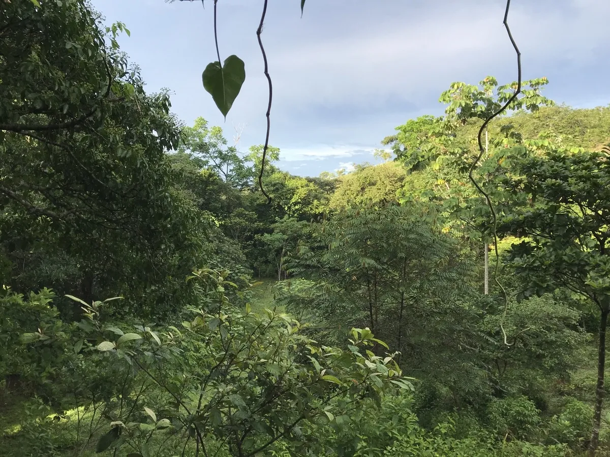 2 hectares en San Félix, Chiriqui