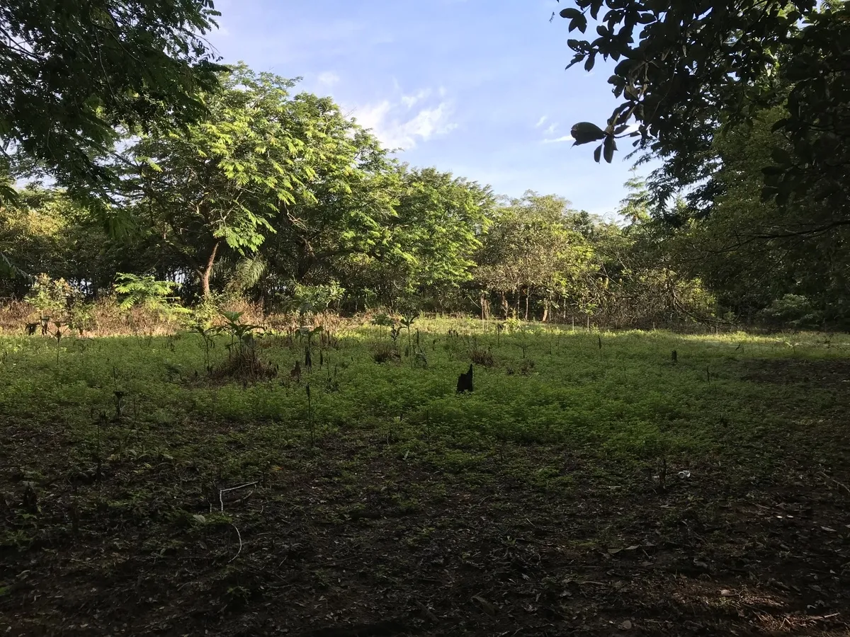 2 hectares en San Félix, Chiriqui