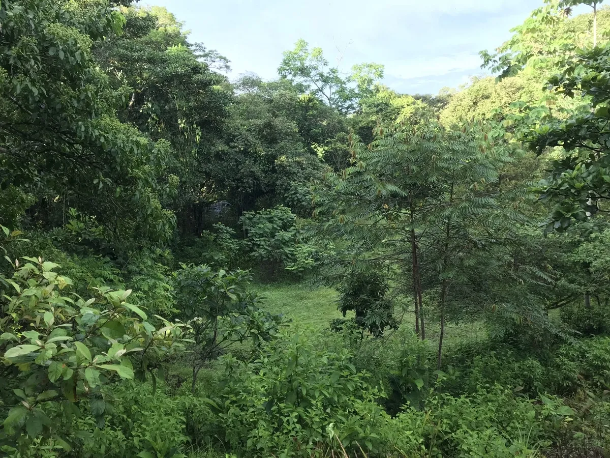 2 hectares en San Félix, Chiriqui