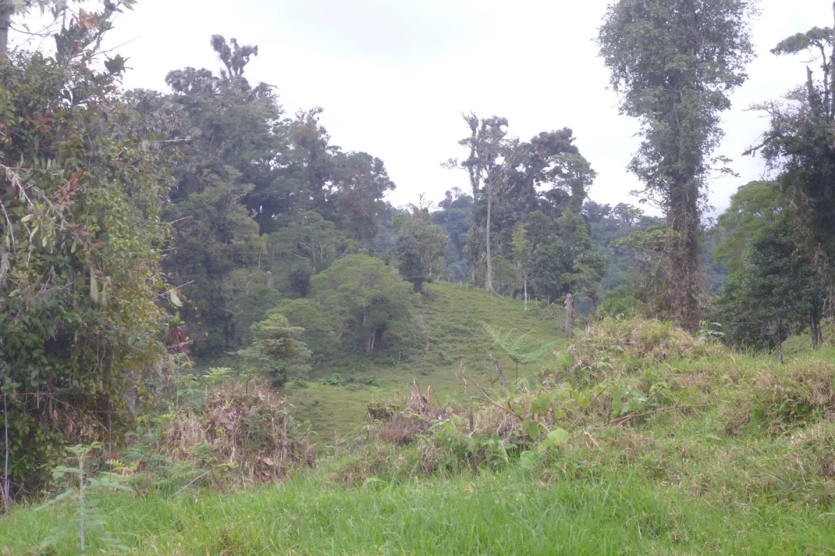 CHIRIQUI, BOQUETE, PROPIEDAD CERCA DEL PARQUE NACIONAL VOLCAN BARU
