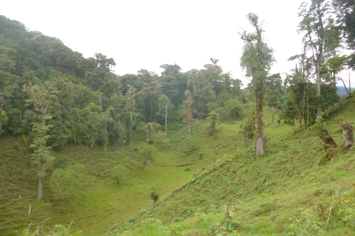 CHIRIQUI, BOQUETE, PROPIEDAD CERCA DEL PARQUE NACIONAL VOLCAN BARU
